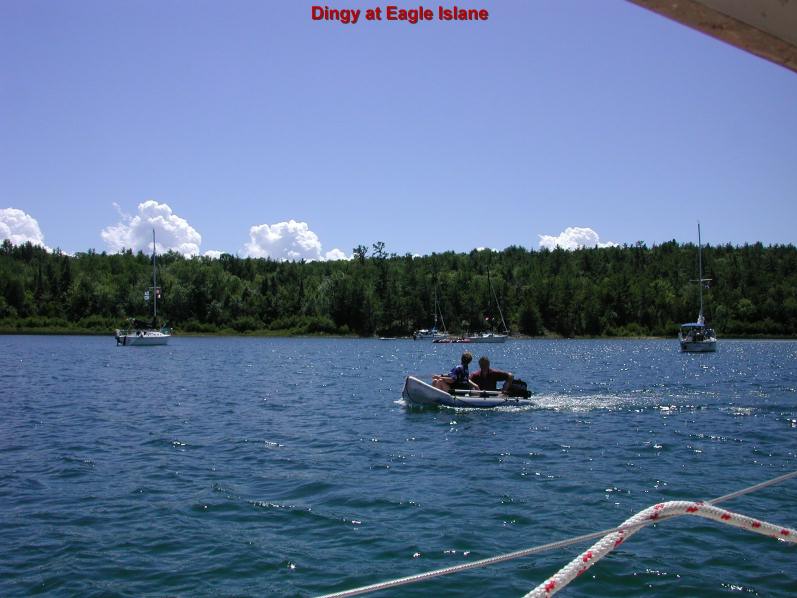 dingyEagle