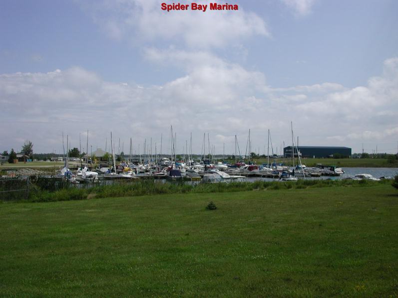 spiderbay